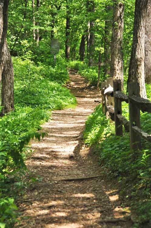 Appalachian Trail, shoe tree